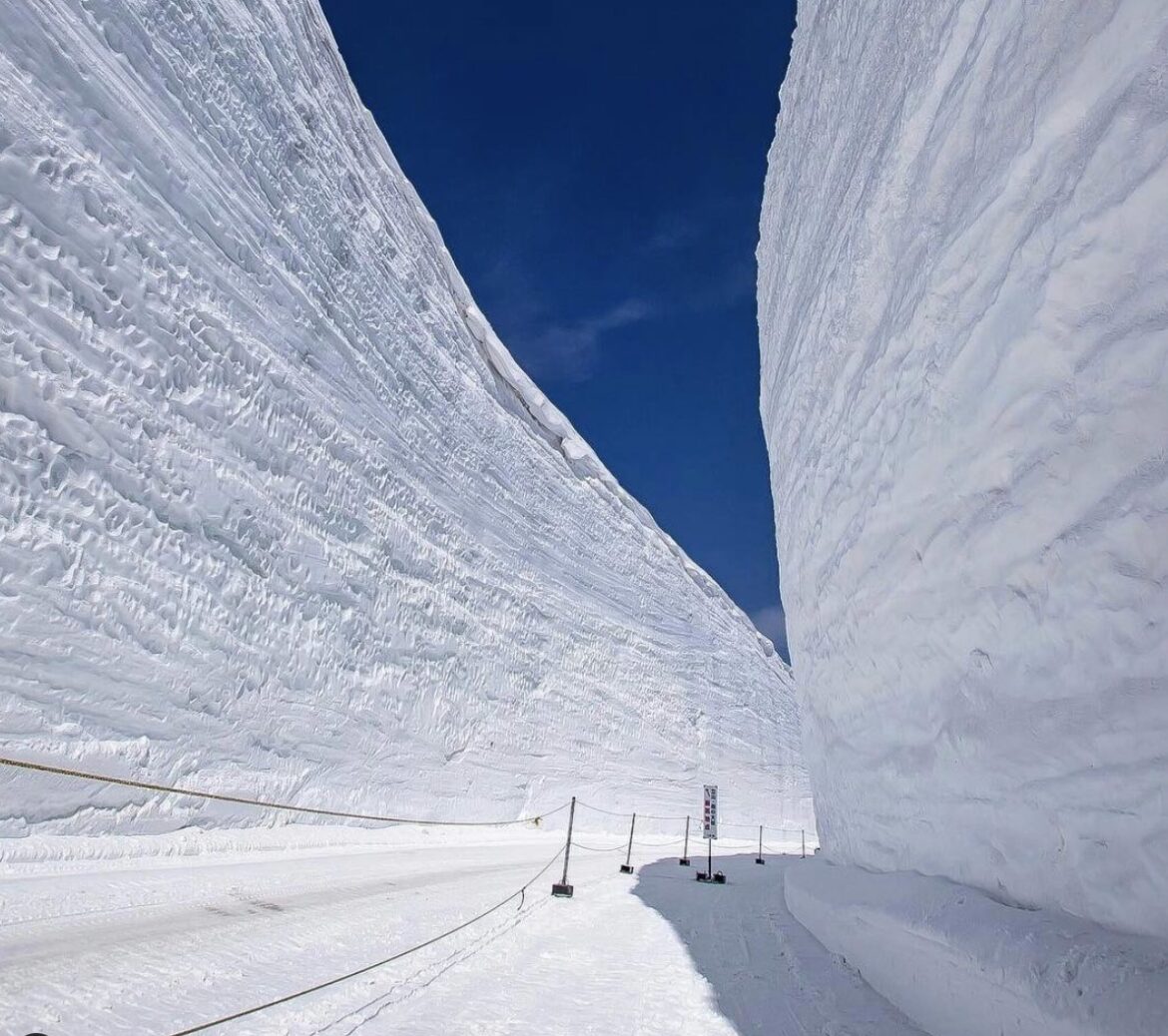 Japanese Ski Resort Reports 282" Base